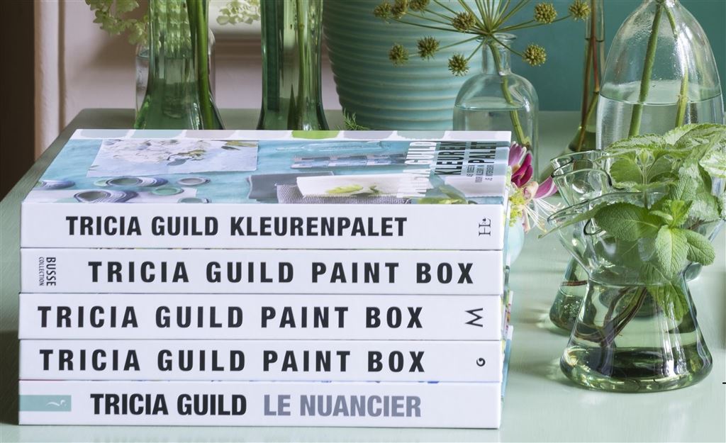NEW BOOK 'PAINT BOX' BY TRICIA GUILD                                  