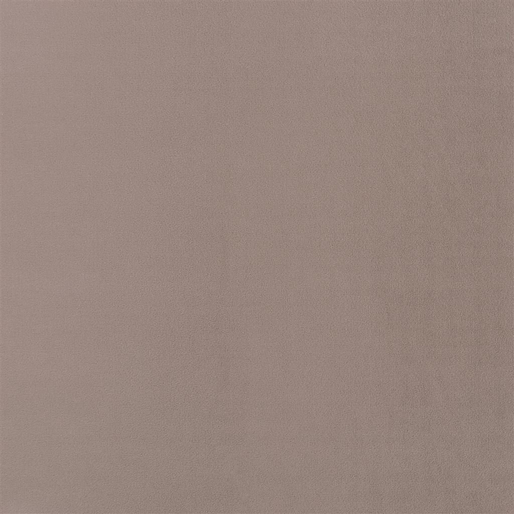 trentino stretto - moleskin