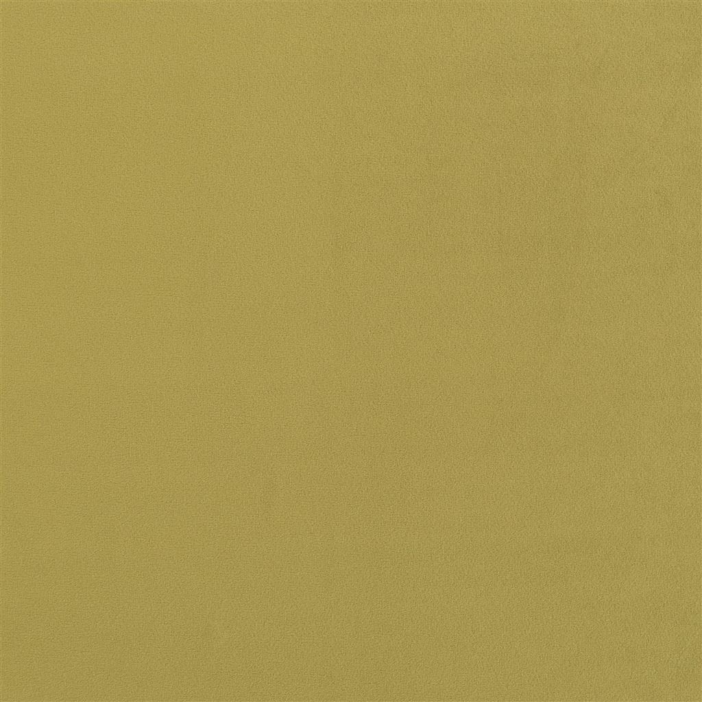 trentino stretto - moss