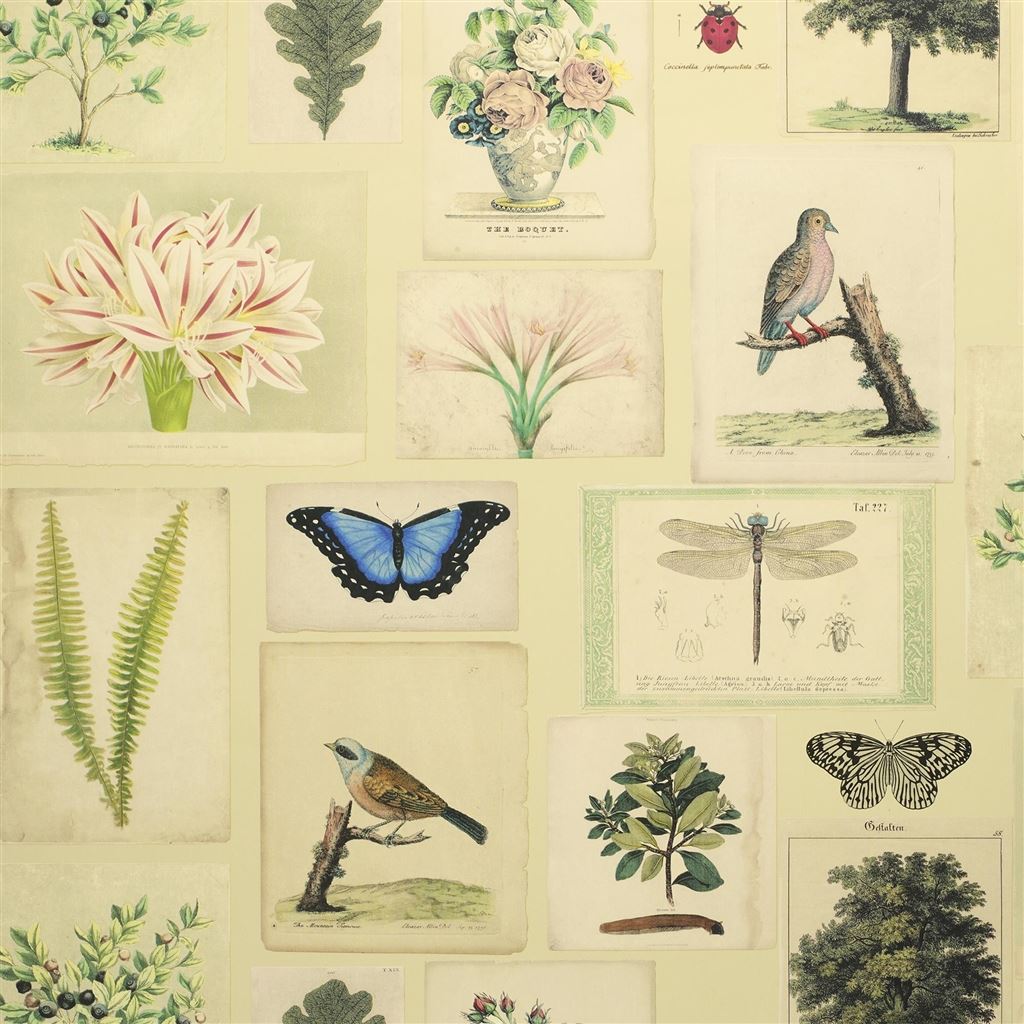 Flora And Fauna Parchment