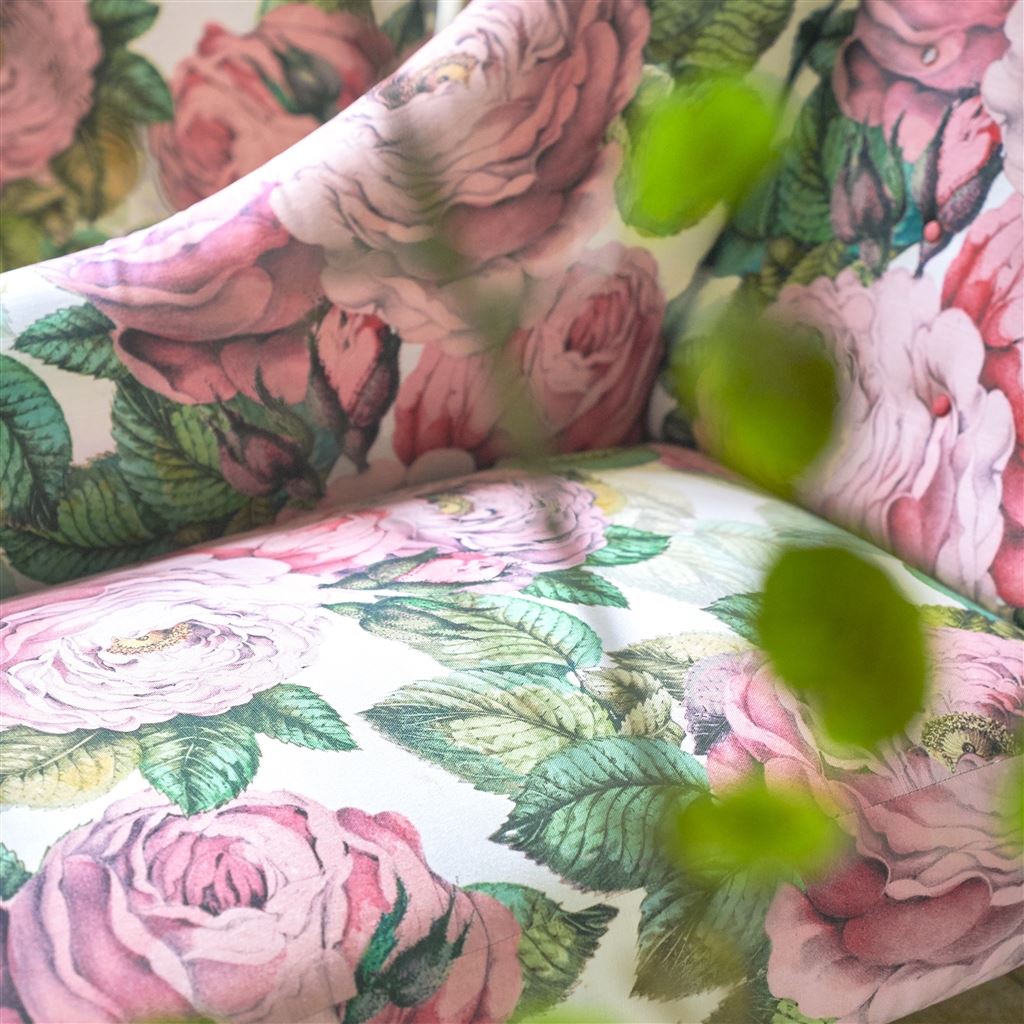 The Rose Tuberose