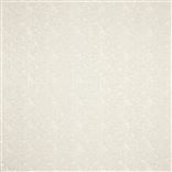 Turtle Cove Shell Sheer Oyster