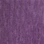 Shirakawa Amethyst