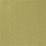 Pompano Outdoor - Acacia Cutting