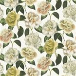 Camellia Folly - Parchment Cutting