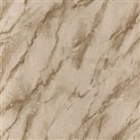 Carrara Grande Bronze Large Sample