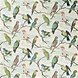 Parrot Aviary - Sky Blue Cutting