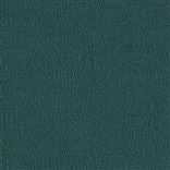 Anshu Teal 
