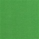 Anshu - Emerald Cutting