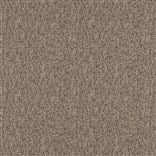 Vezzano Flax