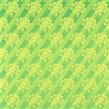 Mitia Lime
