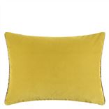 Coussin Cassia Alchemilla 