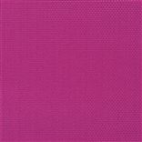 Salt Marsh Fuchsia