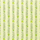 Pansy Stripe - Apple coupe