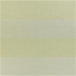 TSUGA STRIPE - GOLD