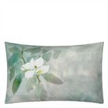 Kiyosumi Celadon Standard Pillowcase