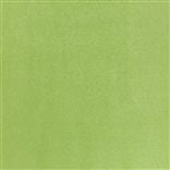mezzola - leaf
