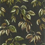 Jangal Walnut