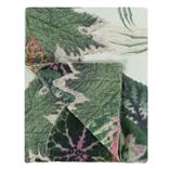 Birds of a Feather Parchment Throw