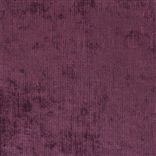 ruggiero - damson