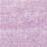 appia - lilac