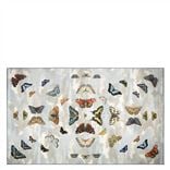 Mirrored Butterflies Sky Large Rug