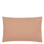 Loweswater Nutmeg Pack of 2 Pillowcase