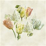 Spring Tulip Buttermilk Shower Curtain