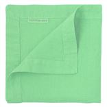 Lario Mint Napkins Set of 4