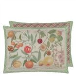 Oranges Canvas Decorative Pillow