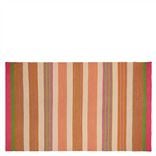 Mahakam Coral Small Outdoor Rug