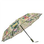Ikebana Damask Fuchsia Compact Umbrella