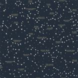 Starry Sky Midnight Blue