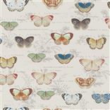 Butterfly Studies - Parchment Cutting