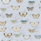 Butterfly Studies - Cloud Blue Large Sample