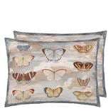 Butterfly Studies Parchment Decorative Pillow