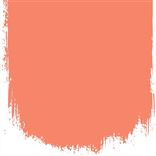 Persimmon - No 190 - Perfect Eggshell Paint - 5 Litre