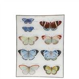 Butterflies Rectangular Tray