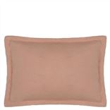 Biella Cameo & Parchment Standard Sham