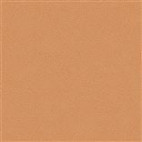 Matara Eco Brick