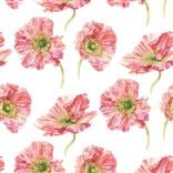 Coquelicot - Coral