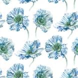 Coquelicot - Delft