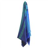 Cobalt And Mint Wool Scarf 