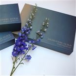 GIFTBOX 3 - LARGE BOX - 50 x 36 x 7.5cm 