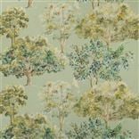 Bosquet sauvage - Forest