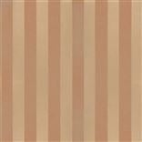 Cassien - Terracotta