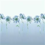 Coquelicot Delft