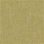 Zezere - Olive