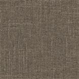 Zezere - Nutmeg