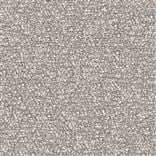 Kintail - Moleskin